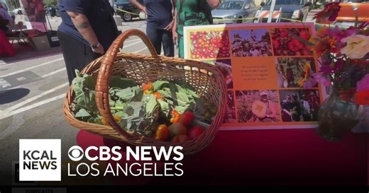 The West Los Angeles VA Medical Center hosts a resource fair for veterans