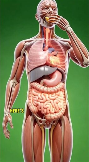 Cheese vs Your Arteries & Gut – The Truth Inside