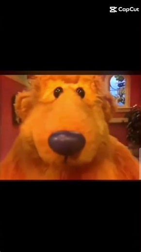 bear in the big blue house