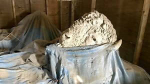 See some of Calgary's historic treasures that have been tucked away for decades