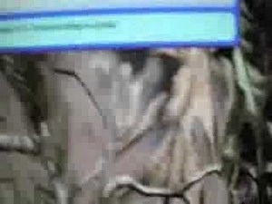 How to setup the Nintendo Wi-Fi USB Connector