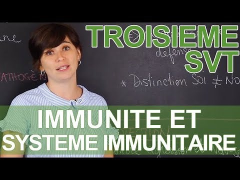 Immunité et système immunitaire - SVT - 3e - Les Bons Profs