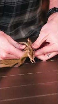 VIDEO NOW LIVE! | How To Install the Duraflex Quick Release