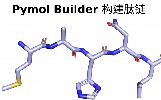 Pymol-构建肽链 优化构型