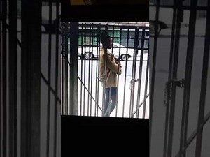 A Bronx tale 1993 Cee meet Jane in the school