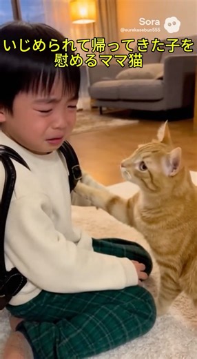 いじめられて帰ってきた子を慰めるママ猫