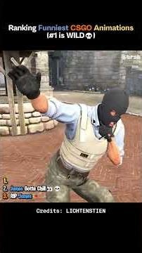 Ranking FUNNIEST CSGO Animations By LICHTENSTIEN - 15