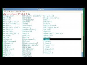 101.3 Changing run levels