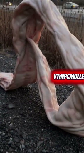 NPCMULLETMAN really found Bridge Worm 🪱 on HWY 99. #fypシ #bridgeworm #npcmulletman #horror #sora