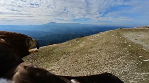 78 reactions · 5 comments | Prossimi eventi Fortezza di Civitella del tronto Info 3208424540 30 dicembre 6 gennaio Ore 10.30 Festival delle aquile Campli Info 3485345364 Domenica 8 gennaio ore 11.00 #falcong #passeggiatewild #festivaldelleaquile #abruzzo #italy #wild #wildexperience #falconry #life #falcon #giovannigranati #athenajitariuc | Falcong | Facebook