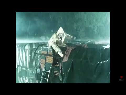 Racing Stripes rain scene