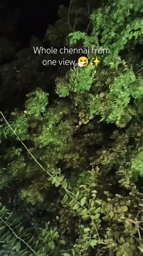 merry christmas! 🎁 🎄 😄 #newmusic #music #fypシ゚viral