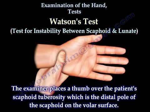 Examination Of The Hand, Tests - Everything You Need To Know - Dr. Nabil Ebraheim