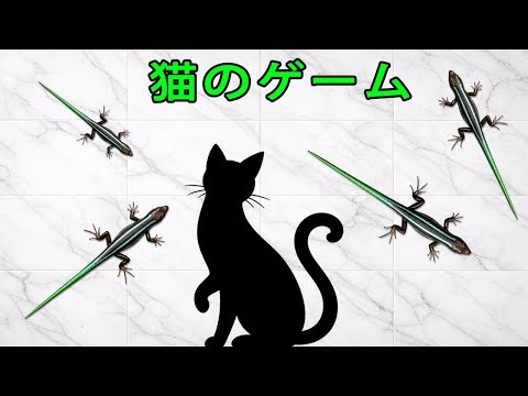 画面を走り回るスキンク 🦎💨Fast Skink Running on Screen -CAT TV