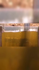 "Exploding Gun in a Fryer: Fact or Fiction?" | mythburst