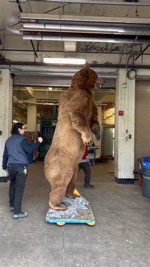 18K views · 284 reactions | CAREFUL—there’s a bear in the walk-in. ...