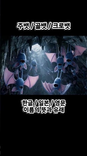 포켓몬 주뱃, 골뱃, 크로뱃 한글명/일본명/영문명 뜻 #포켓몬스터 #ポケットモンスタ #pokemonster