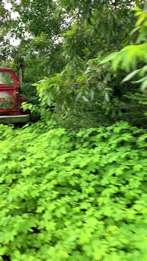 Vintage Dodger Lil Red Express Truck with Exhaust Stacks