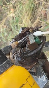 6.4K views · 37 reactions | #HoofMaintenance #CowHoof #HoofCleaning #HoofCare #TheHoof | Healthy Pathways | Facebook