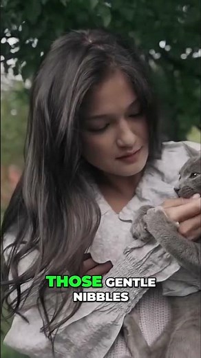 Understanding Love Bites: What Your Cat's Gentle Nibbles Really Mean #catbite #cat