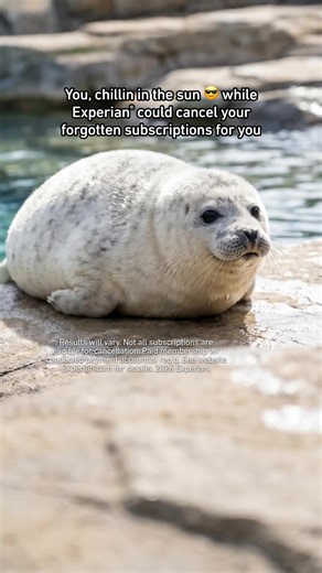 Track and cancel forgotten subscriptions with Experian®. You just sit there and look cute. Download the Experian® App!