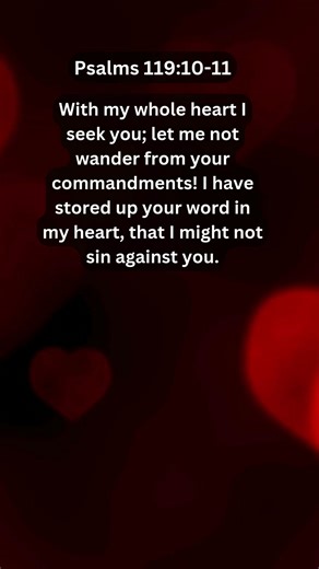 Journey of faith and spiritual growth | Psalms 119:10-11 Daily Bible Verse