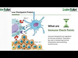 Immune Checkpoint Proteins