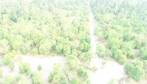 Our Rangers were recently given 2 drones, these drones can help in the fight against poachers (still an ongoing threat) and can assist in the fire season by detecting small fires, among other things, this was the first training run, as you can see we are really in the jungle! Rangers របស់យើងត្រូវបានផ្តល់ឱ្យនូវយន្តហោះគ្មានមនុស្សបើកចំនួន ២ គ្រឿងដ្រូនទាំងនេះអាចជួយក្នុងការប្រយុទ្ធប្រឆាំងនឹងអ្នកប្រមាញ់ (នៅតែជាការគំរាមកំហែងដែលកំពុងបន្ត) និងអាចជួយក្នុងរដូវភ្លើងដោយការឆាបឆេះភ្លើងតូចៗនេះគឺជាការហ្វឹកហាត់ដំ