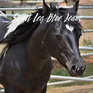 Barbara Morrison on Reels