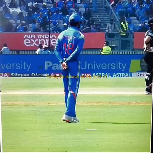 Delicious Food Inspirations