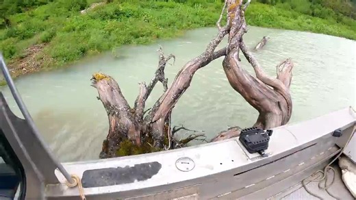 Throwing it back to peak season jet boat days 🚤 Summer may be over, but the memories are still riding strong. Thanks to @starling_birch for tagging us in this epic Wrangell adventure! Glacier views, waterfalls, and pure Southeast Alaska magic. Stay connected for the latest events, specials and #wrangell experiences follow us BreakawayAdventures.com 📍: Travel Wrangell 🗺️: Travel Alaska | BreakawayAdventures.com