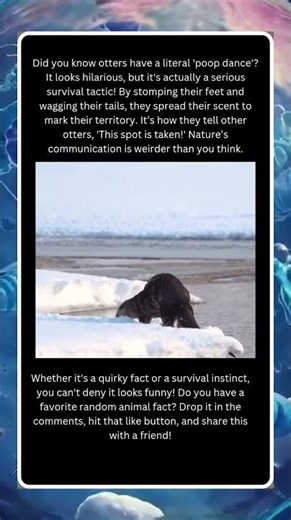 The Secret Meaning of the Otter Poop Dance! 🦦💃