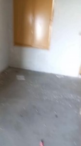 3.6K views | * house for rent * Danish Colony Mardan * 5 Marla house * Upper portion * 2 Rooms * Attach Bath * Kitchen * Open space * Electricity available * No Gas * Near Masjid & Market * 1 minute walking distance from Main Road * Best location *Rent 18,000* * Negotiable Contact no : 03459336622 zong plus whatapp | شاہ پراپرٹی ڈیلر | Facebook