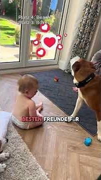 The 4 Best Family Dogs for Kids