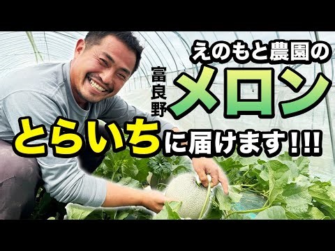 【富良野メロン】無肥料・不耕起栽培で育てた高級メロン農園に突撃！