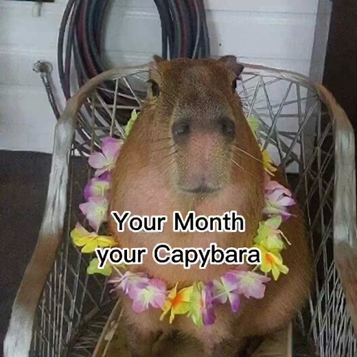 Capybara Slay: Part 2 Coming Soon