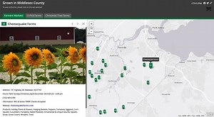 13 reactions | Looking for the perfect… farmers' market, pumpkin to...