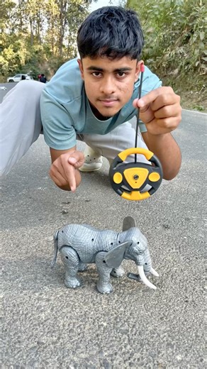 Rc Akta Cow Vs Remote Control Elephant 🐘 unboxing and Testing 🔥