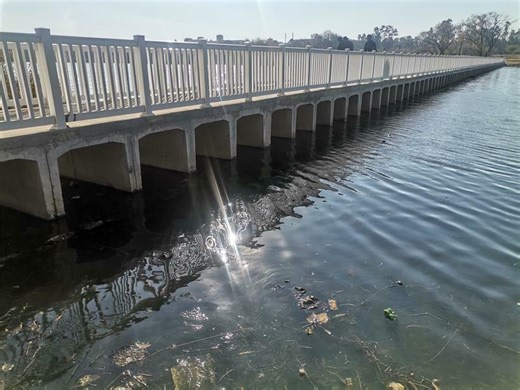 UPDATE: Boksburg Lake water rehabilitation project in limbo | Boksburg Advertiser