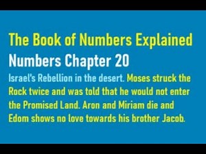 Numbers Chapter 20: The Book of Numbers, Catholic Bible Study, Fr. Tim Peters