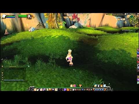 Timeless Nutriment Quest - World of Warcraft
