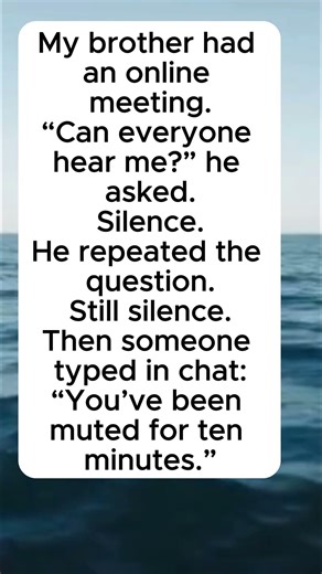 The Online Meeting #jokes #life