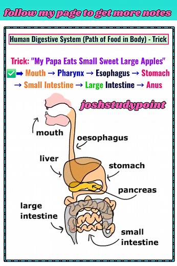 Biology World on Reels