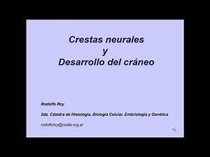SE 9 Cefalización. Crestas neurales cefálicas. Desarrollo del cráneo