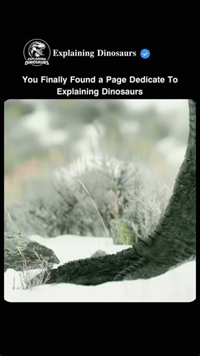 Explaining Dinosaurs on Instagram: "Seventy million years ago, survival in the ancient Arctic was a relentless race against time. On the snow-covered plains of Cretaceous Alaska, herds of Ornithomimus streaked across the frozen ground like living lightning. Capable of reaching speeds up to 22 meters per second, they were among the fastest dinosaurs to ever exist—nearly untouchable for most predators. But one starving female Nanuqsaurus had no choice but to try. She had barely survived the endles