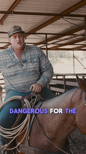 Here’s John explaining why we split cattle up into groups. Does it make a little more work for us? Sure. But our goal is to make the buying process as easy and seamless for you as possible! #rutherfordcattle #agriculture #cattletiktok #ranchlife #fypchallenge #fypreelsシ゚viralシ #cattle #farming #countrylife | Rutherford Cattle