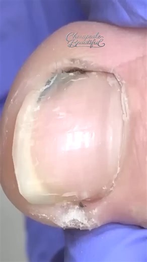 4K views · 26 reactions | The importance of team positivity #OfficeCulture #WorkplaceWellness | Chesapeake Beautiful | Facebook