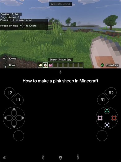 How to pink sheep in Minecraft