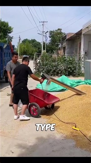 China Grain Loading Machine#shorts