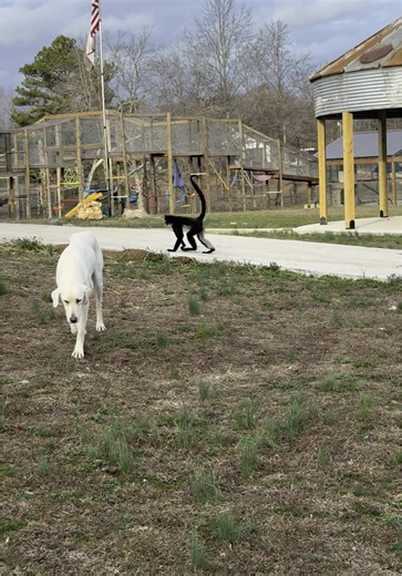 Playful Sunday Evening Adventures with Friends